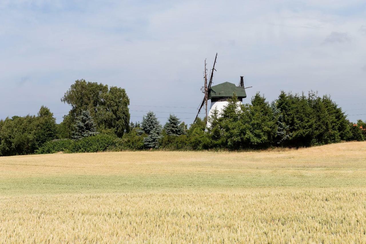 Windmill Vacation Home In Ledzin Near Baltic Sea Niechorze Dış mekan fotoğraf