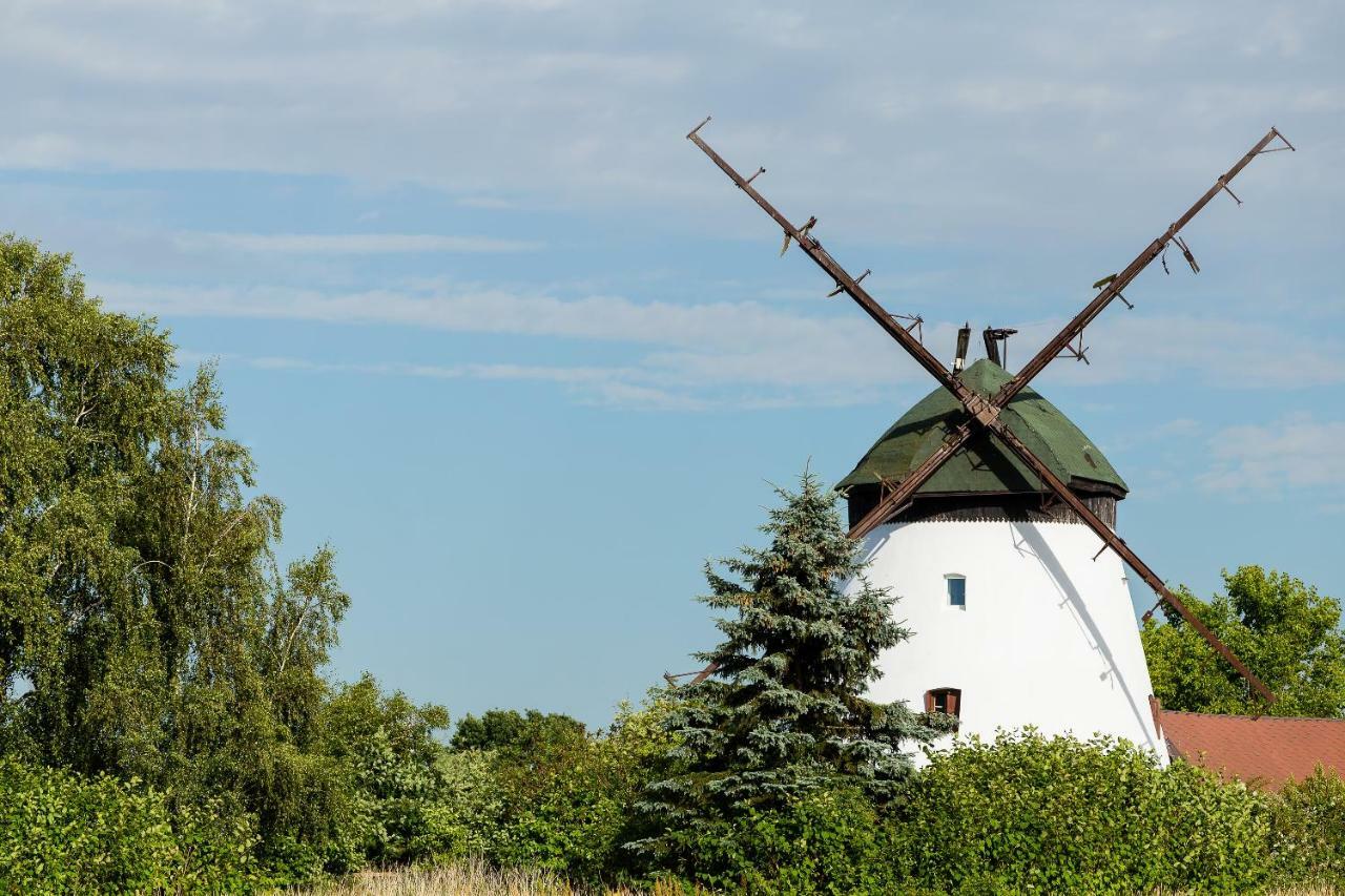 Windmill Vacation Home In Ledzin Near Baltic Sea Niechorze Dış mekan fotoğraf