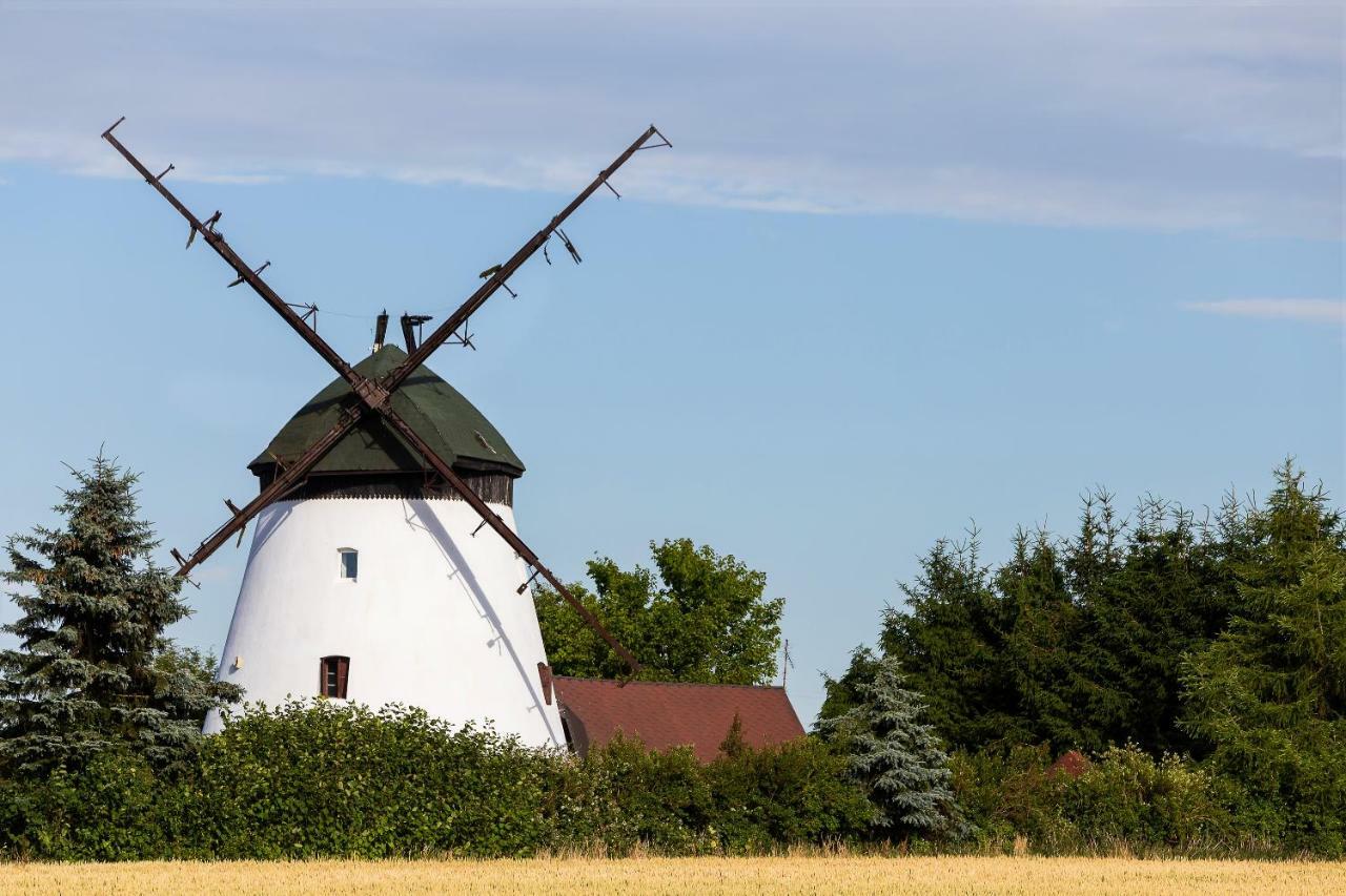 Windmill Vacation Home In Ledzin Near Baltic Sea Niechorze Dış mekan fotoğraf