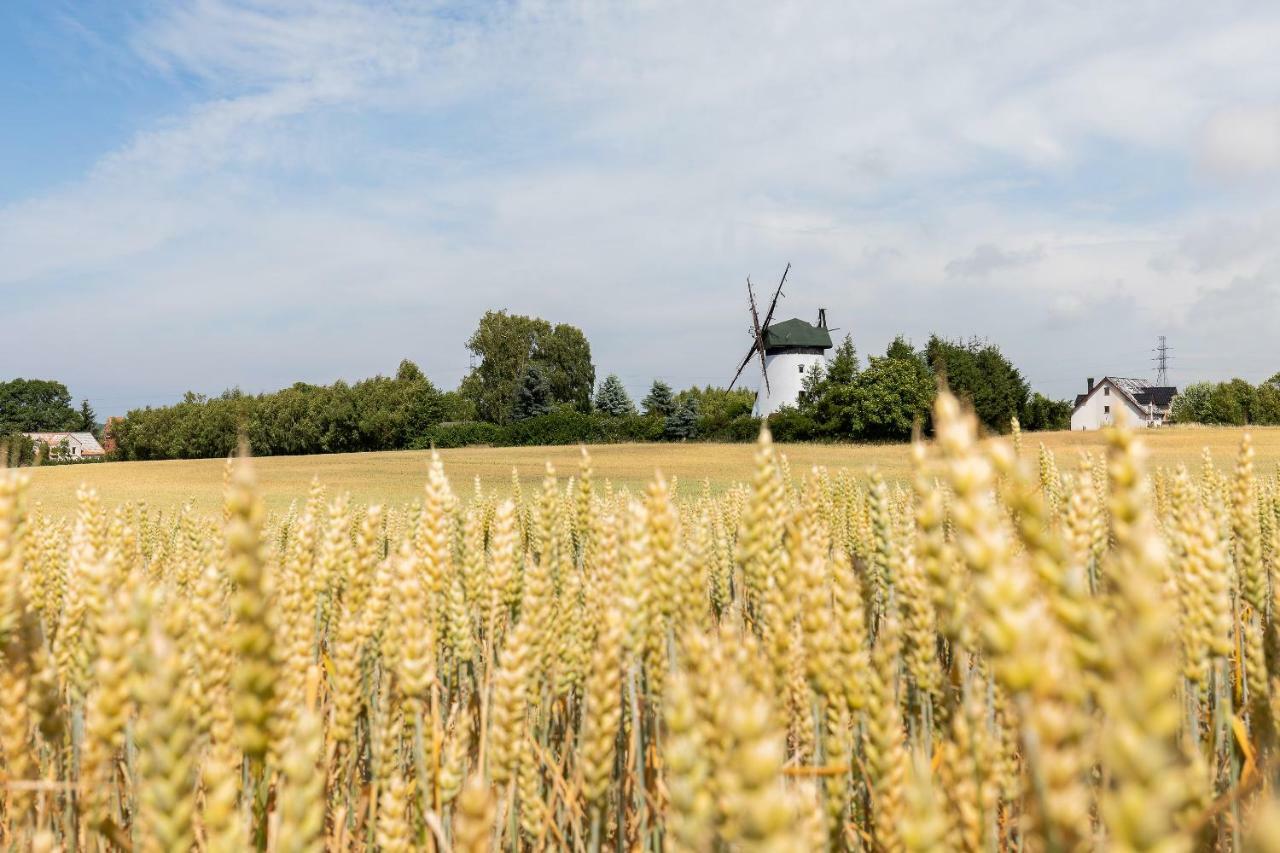 Windmill Vacation Home In Ledzin Near Baltic Sea Niechorze Dış mekan fotoğraf