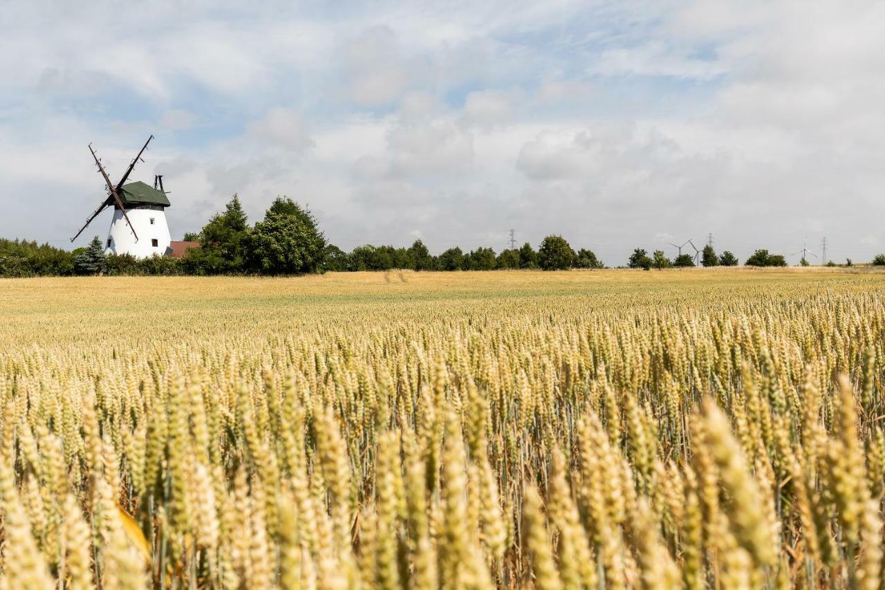 Windmill Vacation Home In Ledzin Near Baltic Sea Niechorze Dış mekan fotoğraf